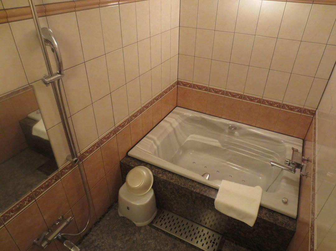 Nice Inn Hotel Maihama Tokyo Bay Premiere主图