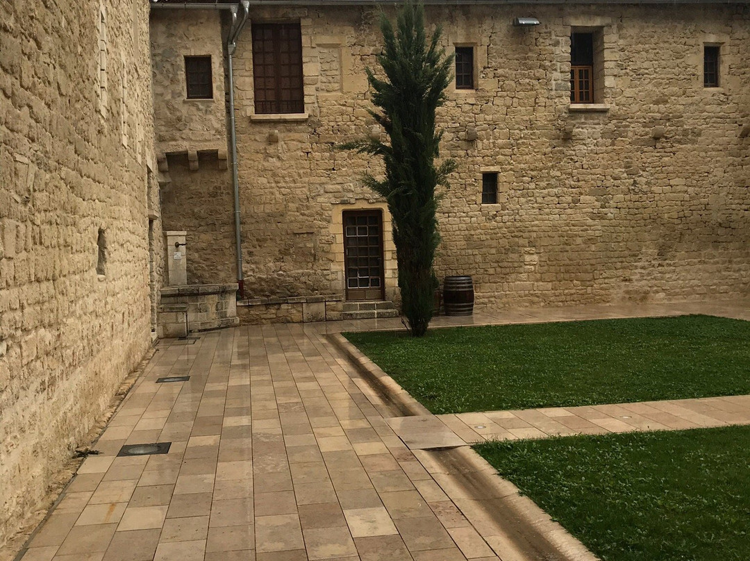 Artemisia Museum景点图片