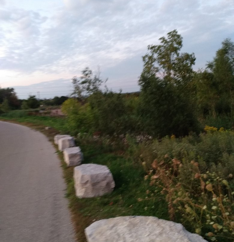 McLennan Park-基奇纳必去景点