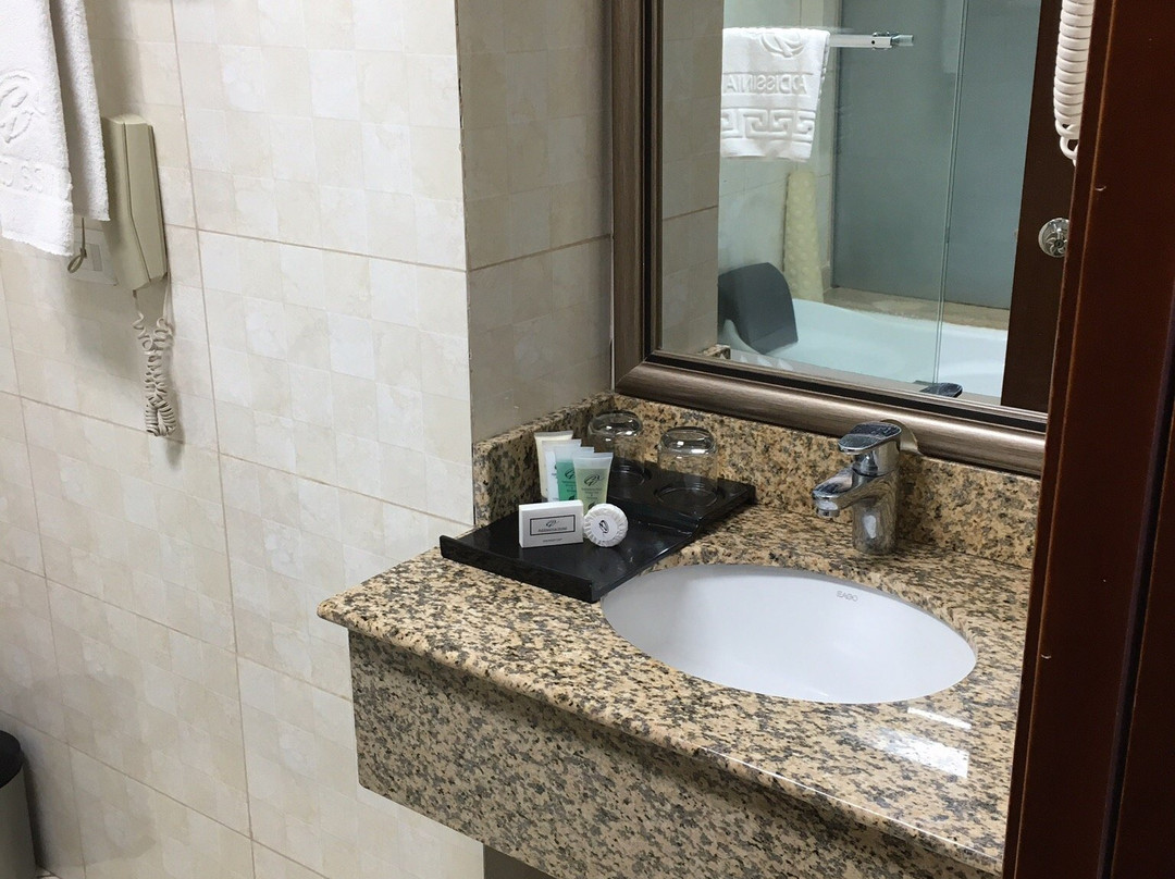 阿蒂斯尼亚酒店主图