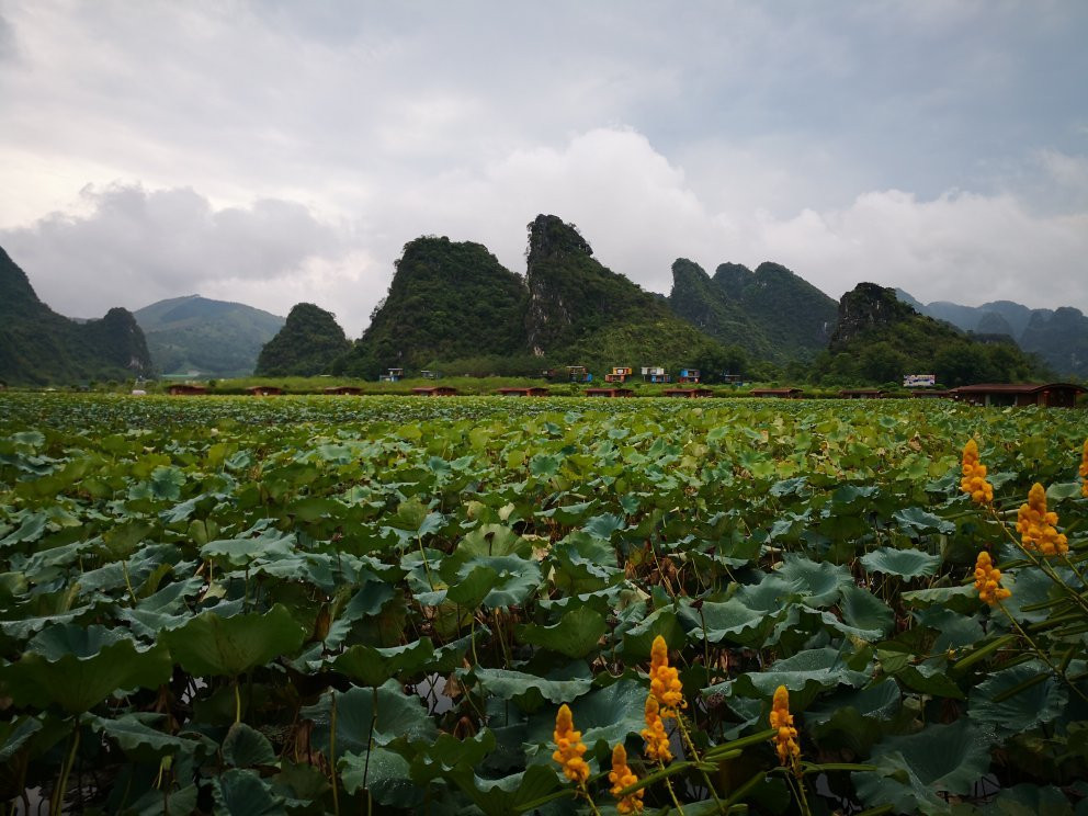 英西峰林走廊-英德市必去景点