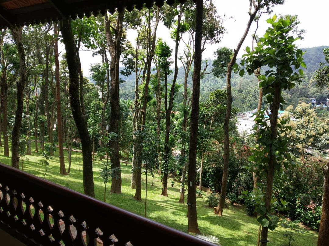 绿林度假村主图