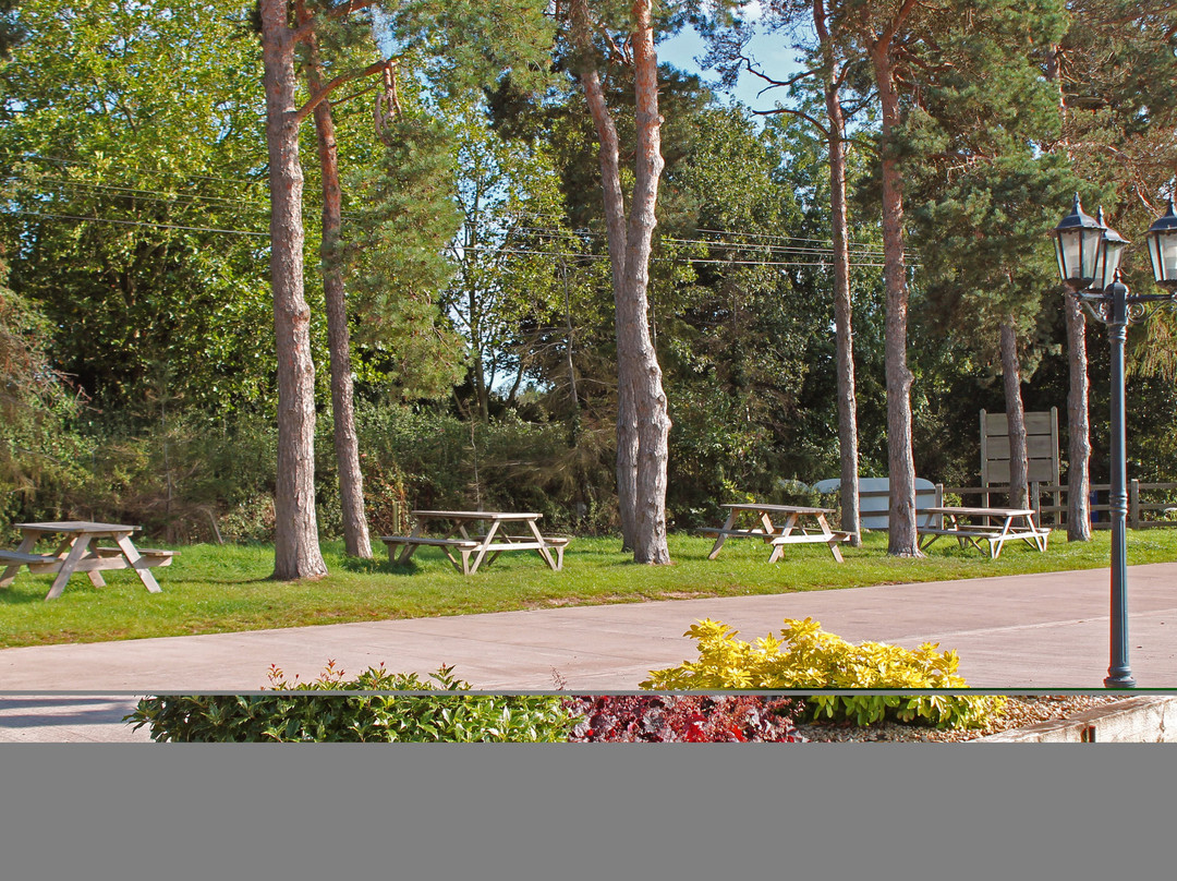 Yew Tree Farm Shopping Village景点图片