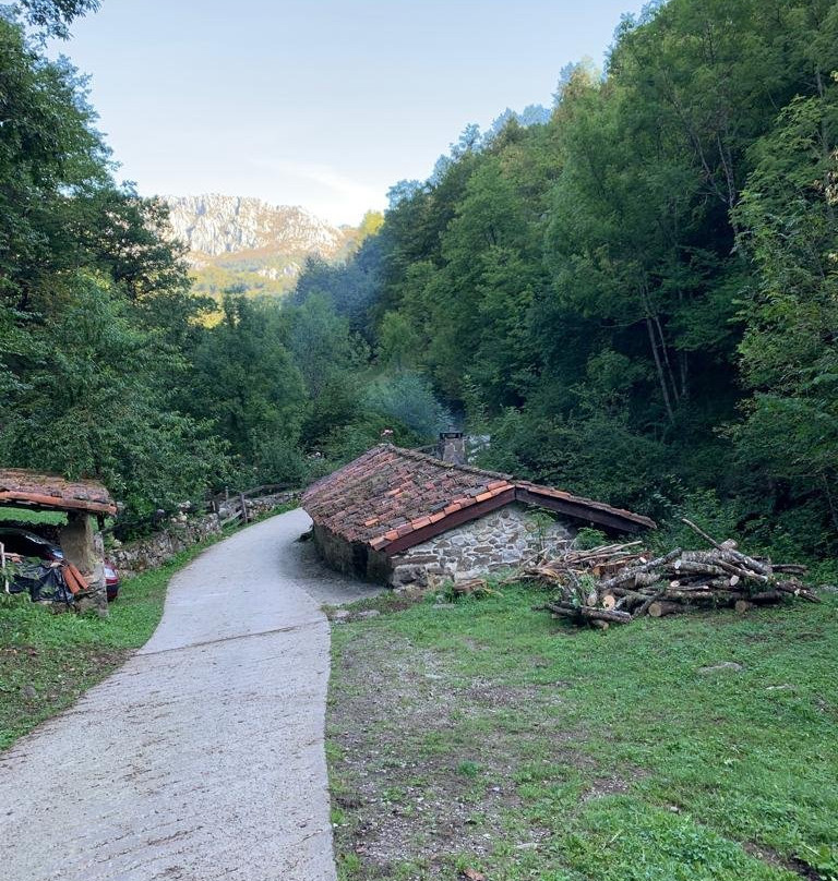 Parque Natural de Redes景点图片