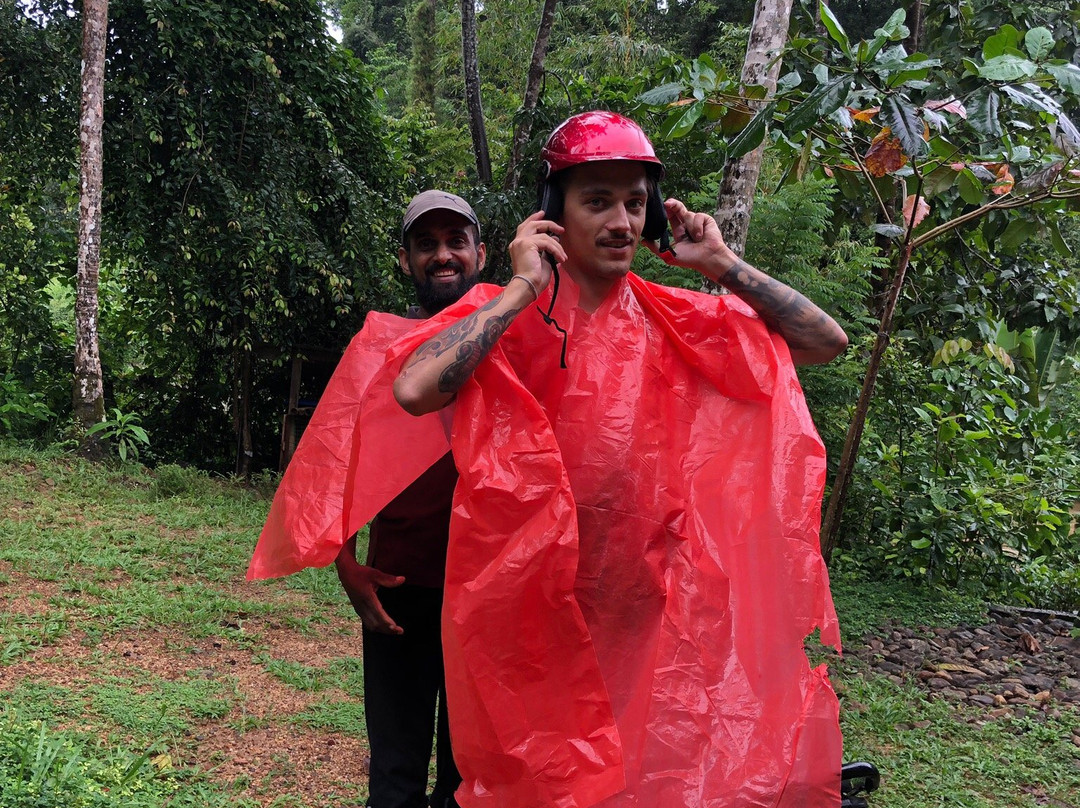 Sinharaja Vini Villa主图