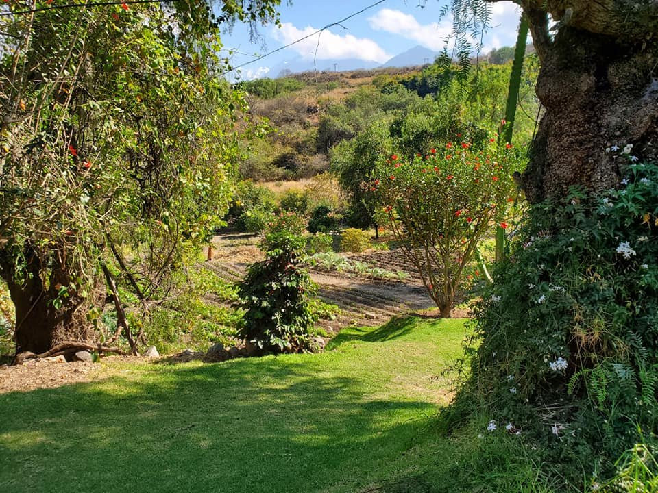 Andean Spirit Lodge主图