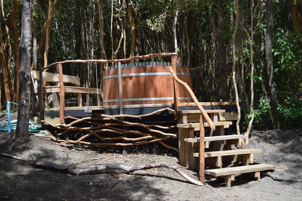 Cabanas Ensenada Bosque Nativo主图