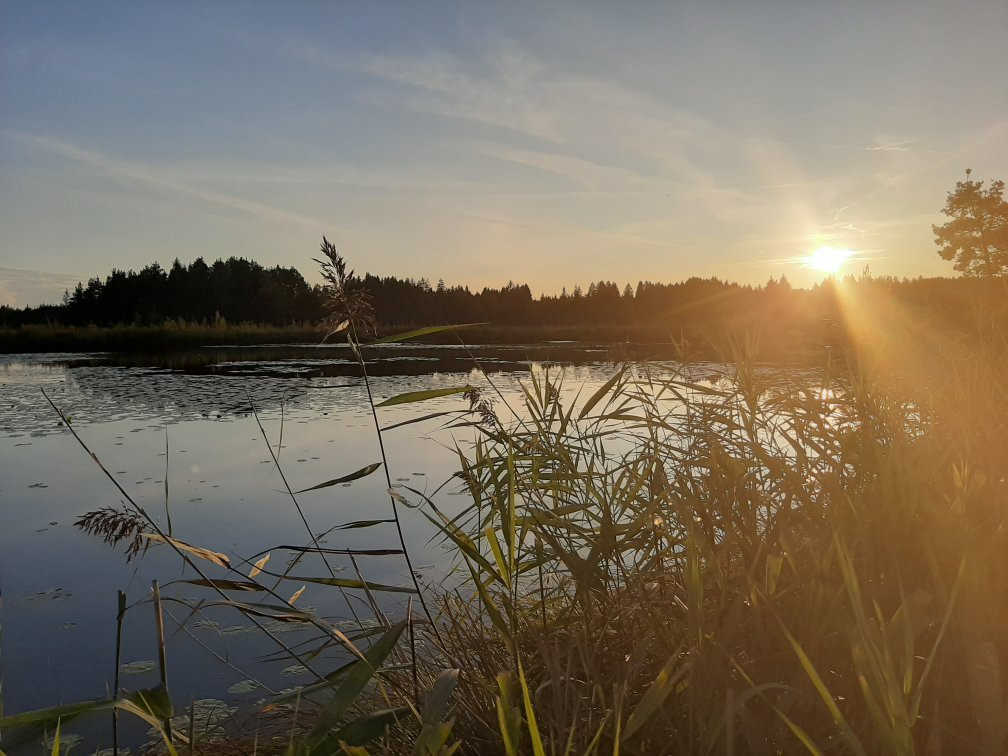 Allgäu-Hotel-Elbsee主图