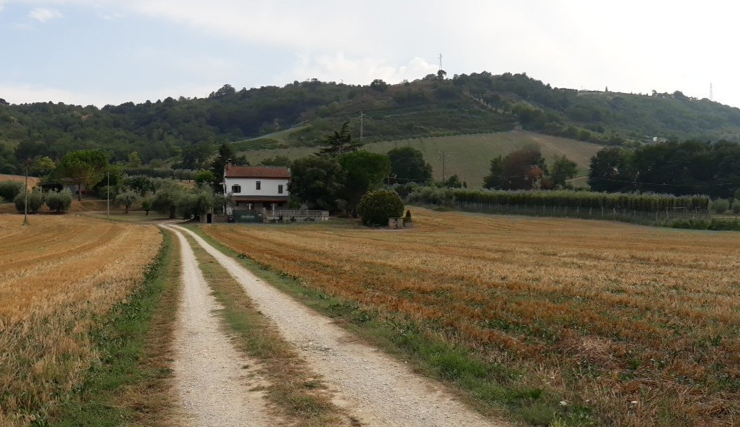 B&B Il Giardino Aromatico主图