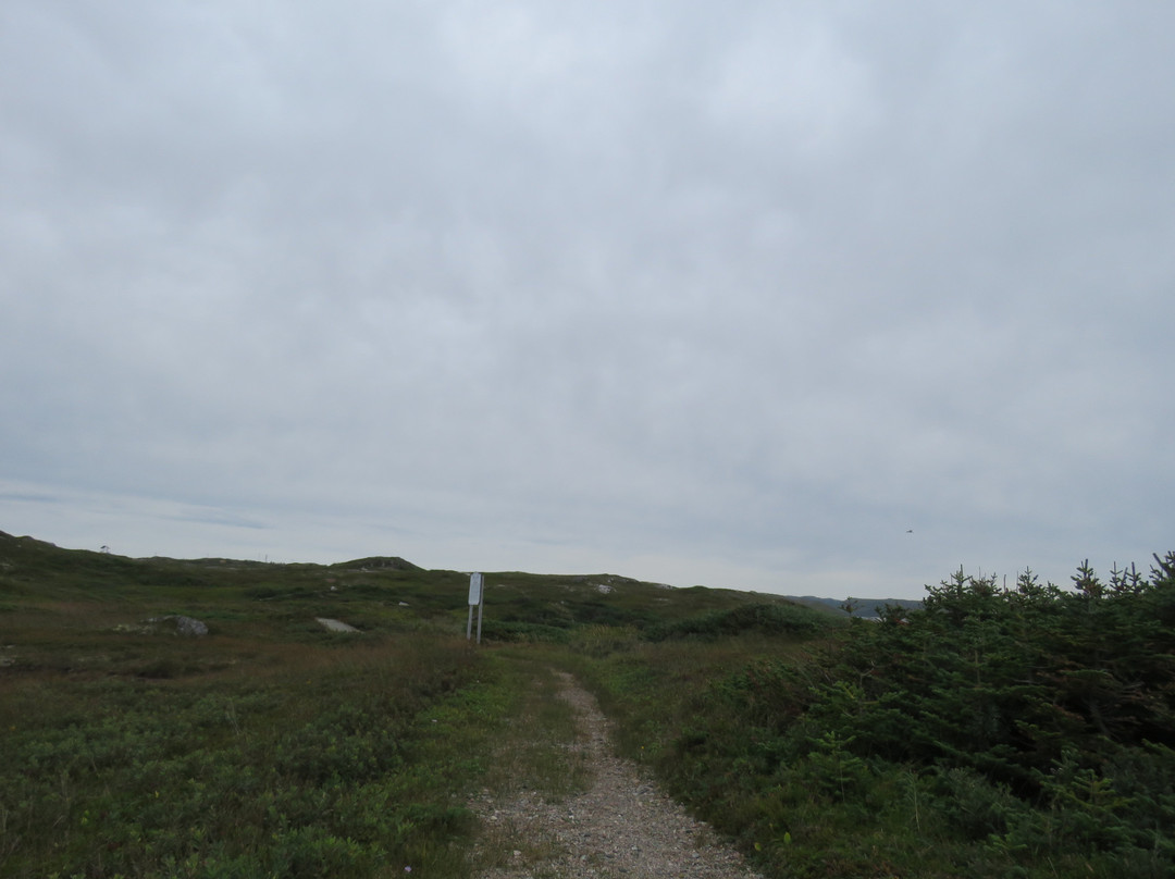 Harvey Trail景点图片