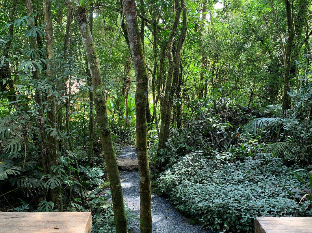 Ronco do Bugio Pouso e Gastronomia主图
