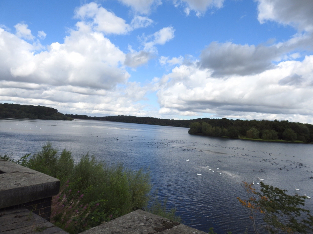 Swithland Reservoir景点图片