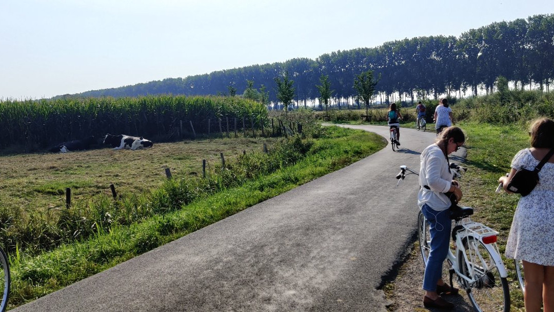 Tour Local-布鲁日必去景点