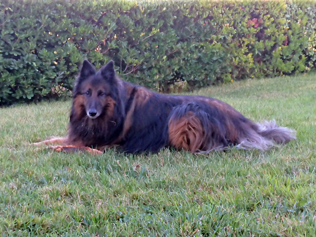 Alle Pendici del Conero主图