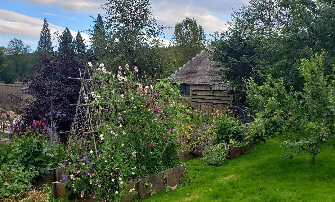 Glen Tanar National Nature Reserve-Aboyne必去景点