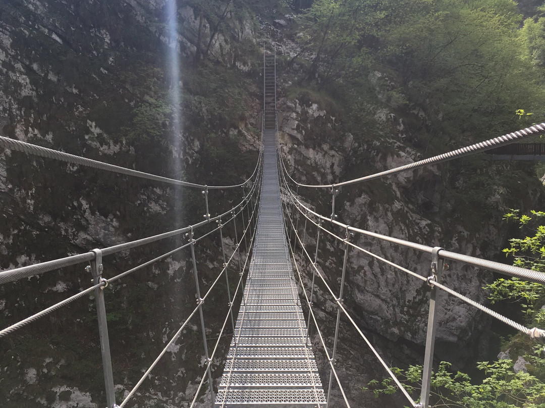 Ponte Tibetano景点图片