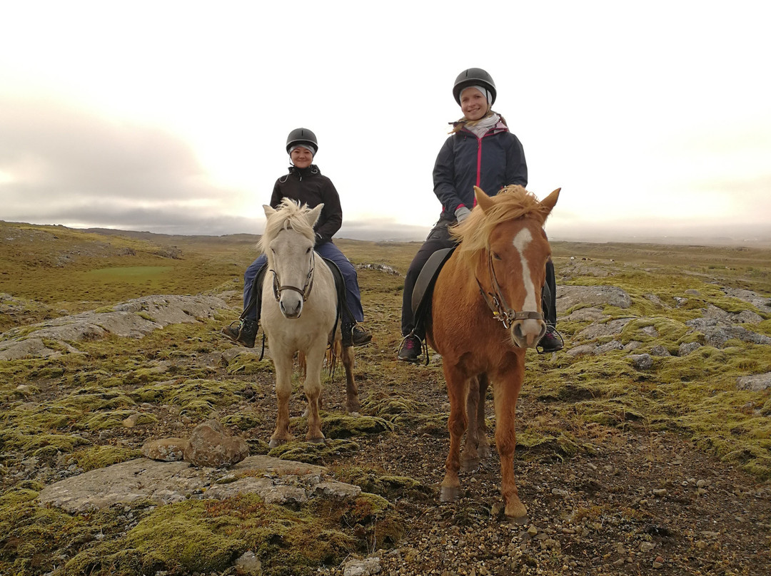 Iceland Horse Tours-Saudarkrokur必去景点