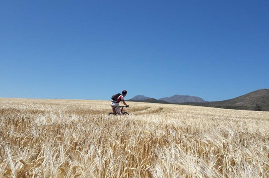 Table Mountain hiking and sightseeing tours-开普敦中心区必去景点