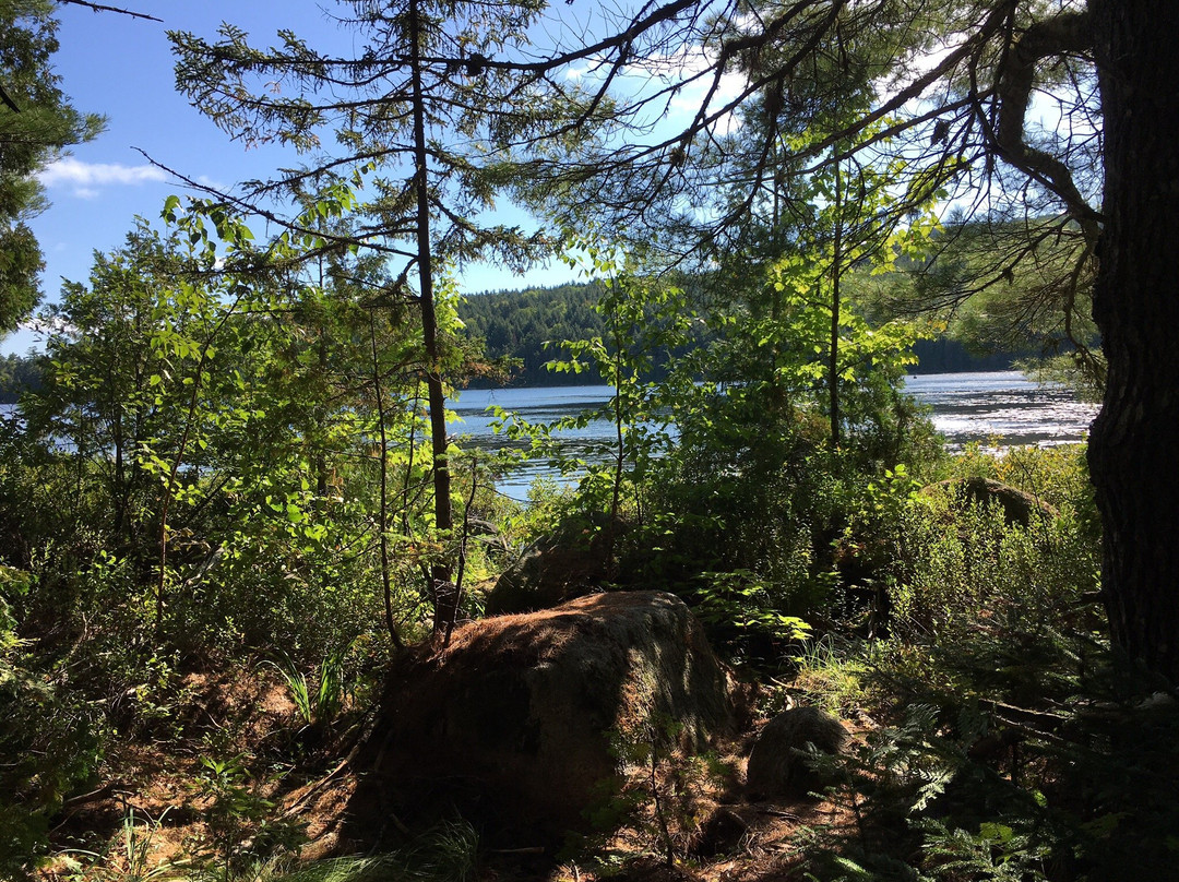 New England Outdoor Center NEOC - Day Tours景点图片