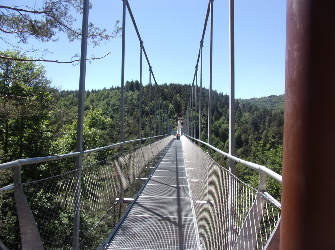 Passerelle Des Gorges Du Lignon