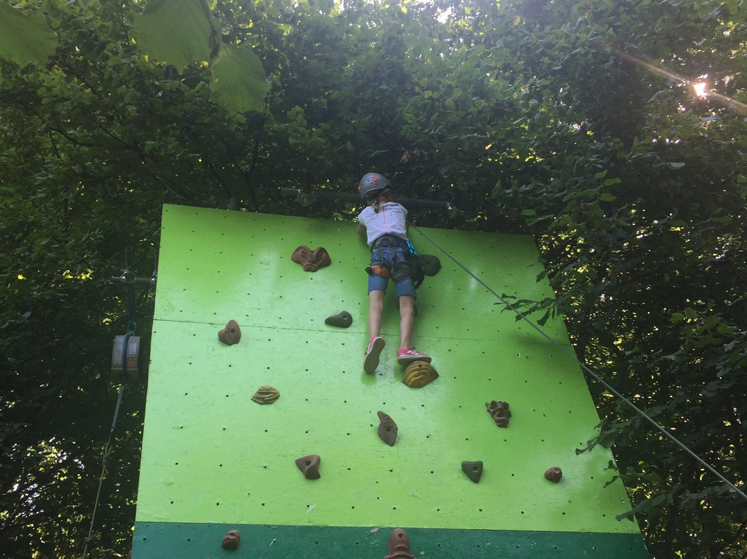 Parco Avventura Adrenalina Verde景点图片
