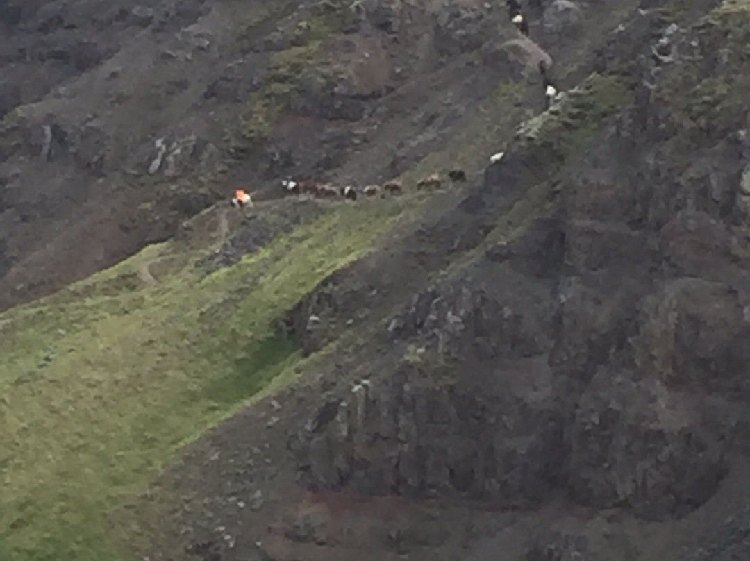 Hestasport - Riding Tours-Varmahlid必去景点