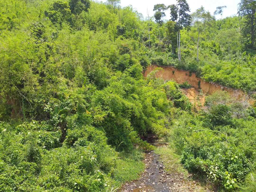Cardamom Mountains-戈公必去景点
