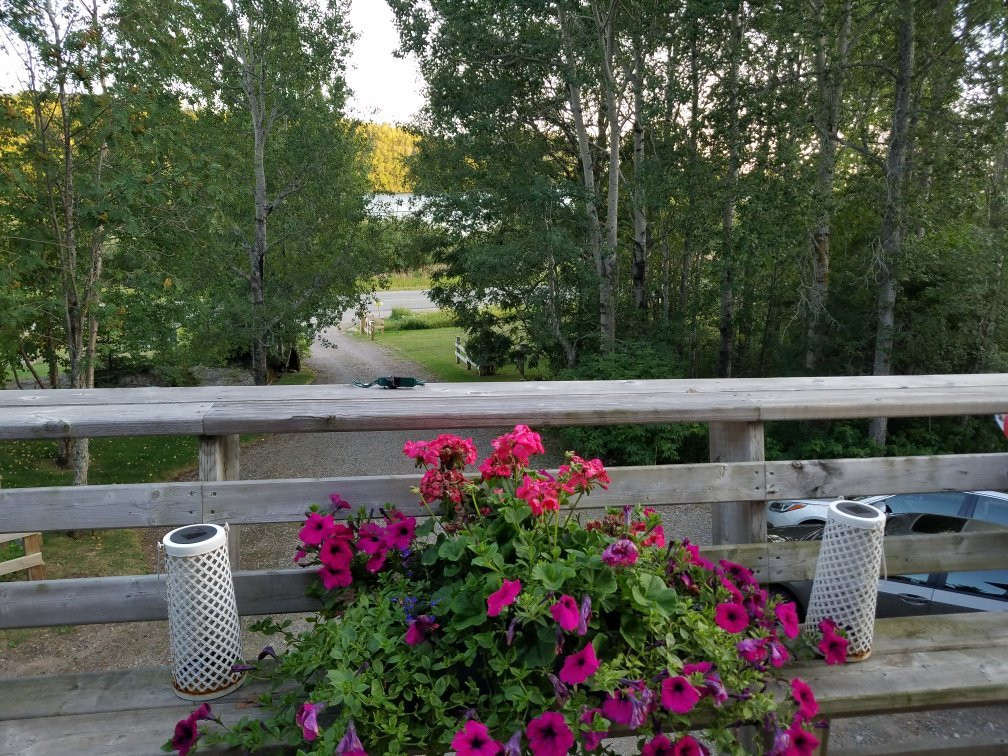 Island Shores Bed & Breakfast主图