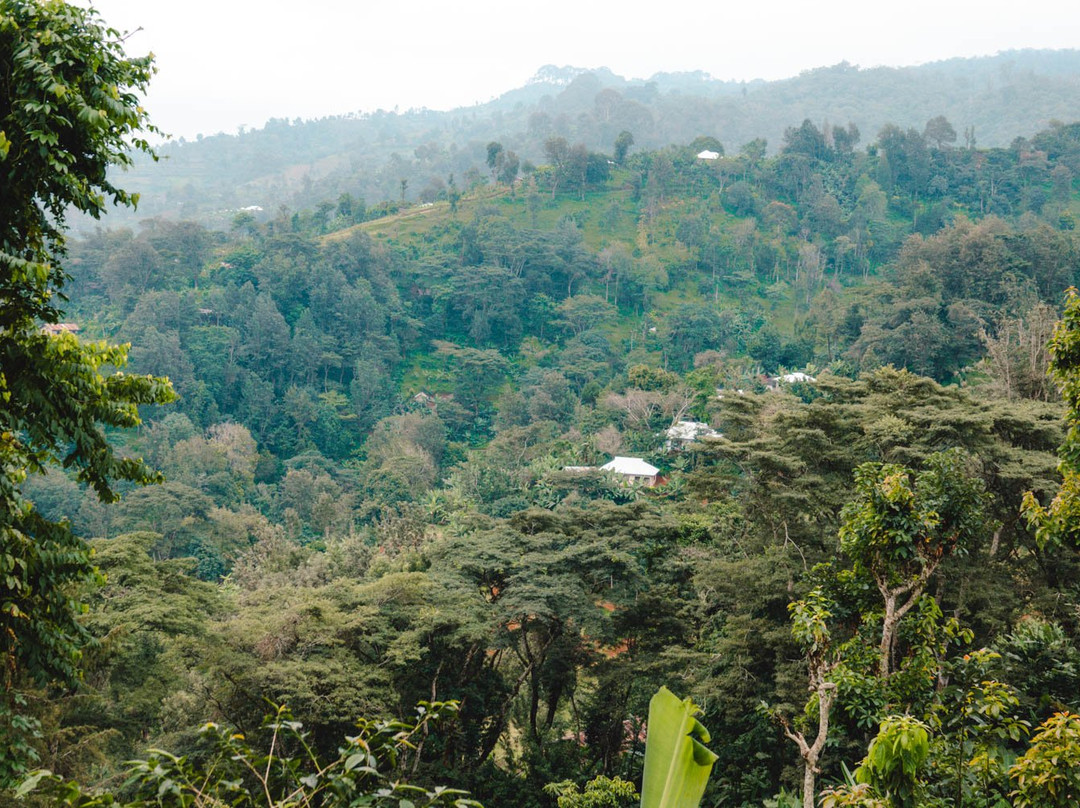 Tunajali Tanzania-莫西必去景点