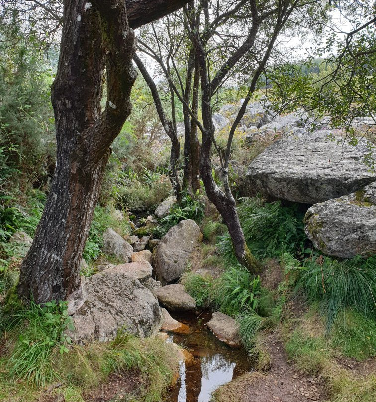 Pedregal de Irimia -Nacimiento Rio Mino景点图片