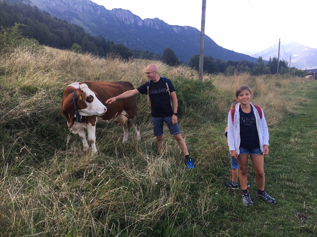 Agritur Malga Mortigola主图