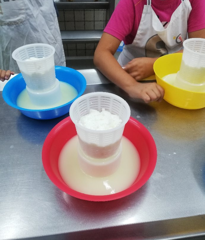 Tropolis-Alcudia de Gaudix必去景点