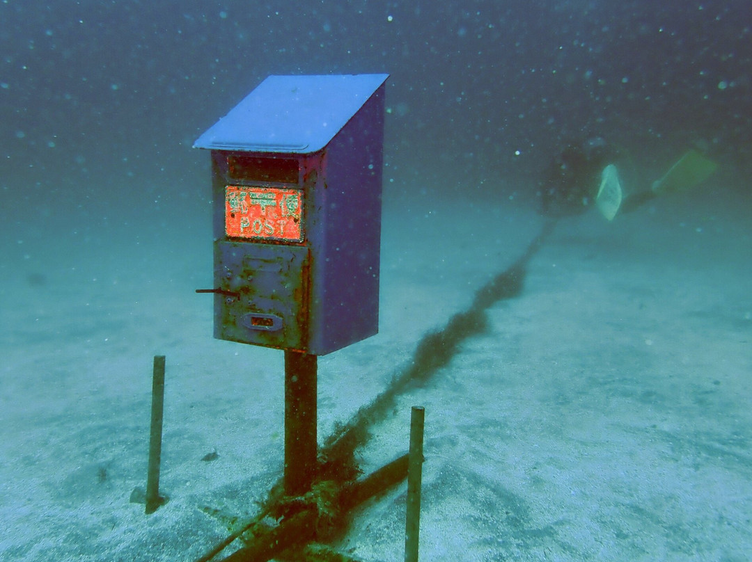 Izu Oceanic Park Diving Center - I.O.P.景点图片