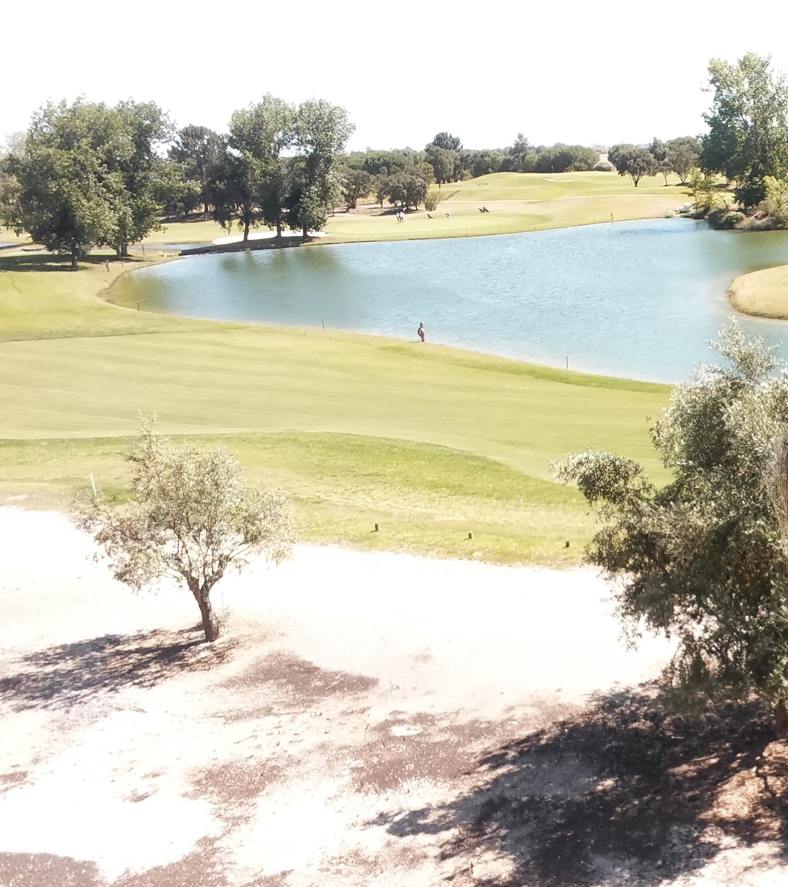 Montado Hotel & Golf Resort-酒店景观