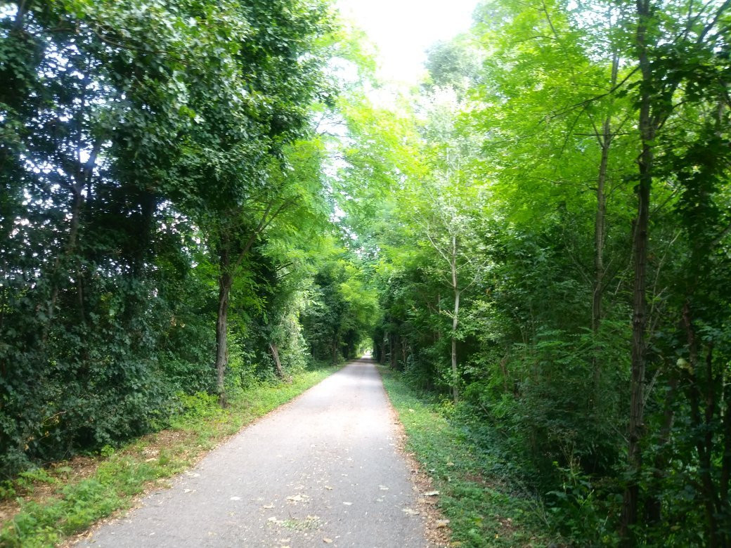 La Strada Ciclabile Treviso-Ostiglia景点图片