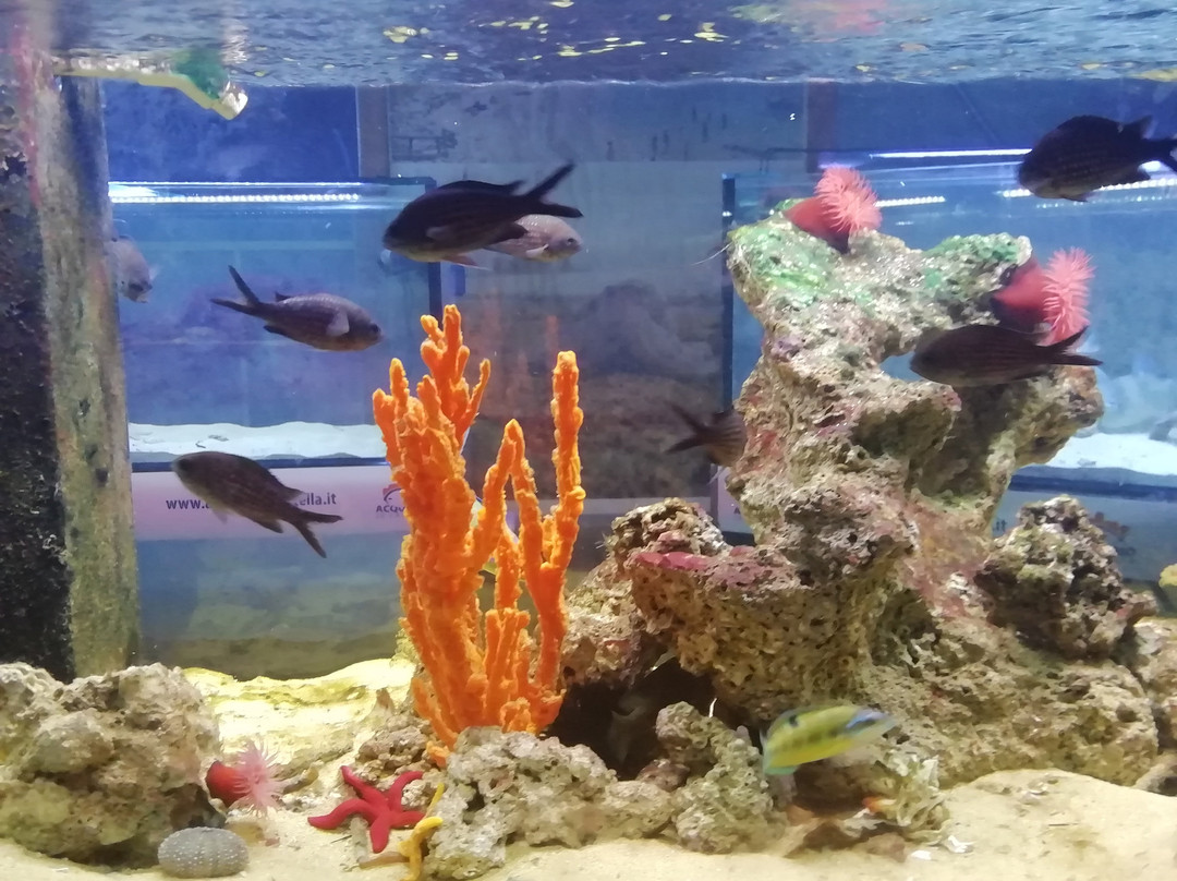 Aquarium-Isola di Capo Rizzuto必去景点