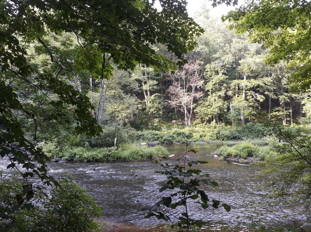 Westville Recreation Area-斯特布里奇必去景点