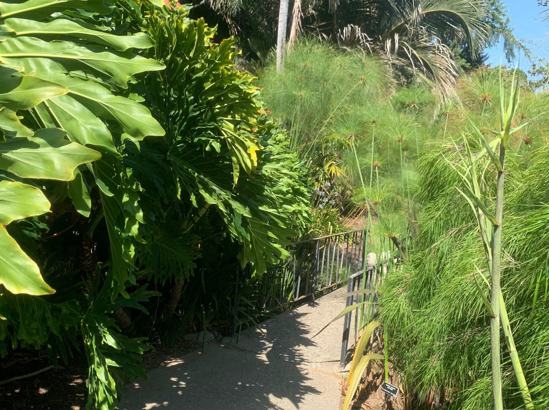 The Huntington Desert Garden-圣玛利诺必去景点