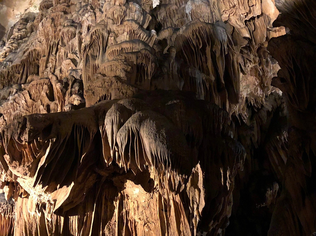 La Grotte des Demoiselles景点图片