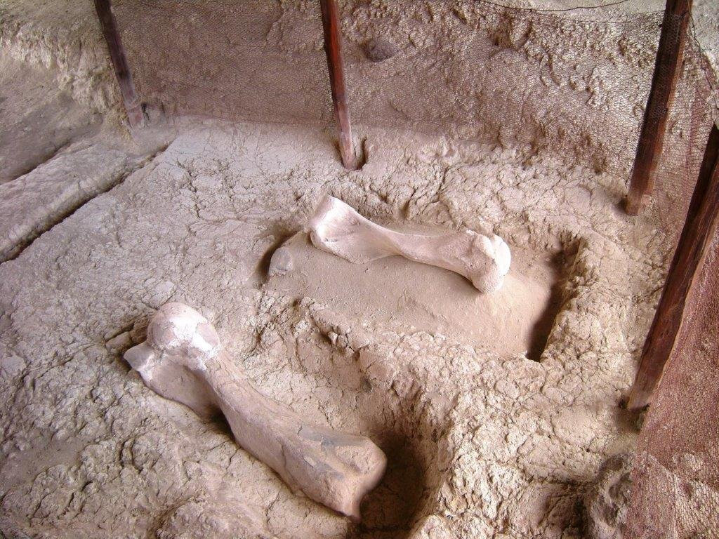 Olorgesailie Pre-Historic Site景点图片