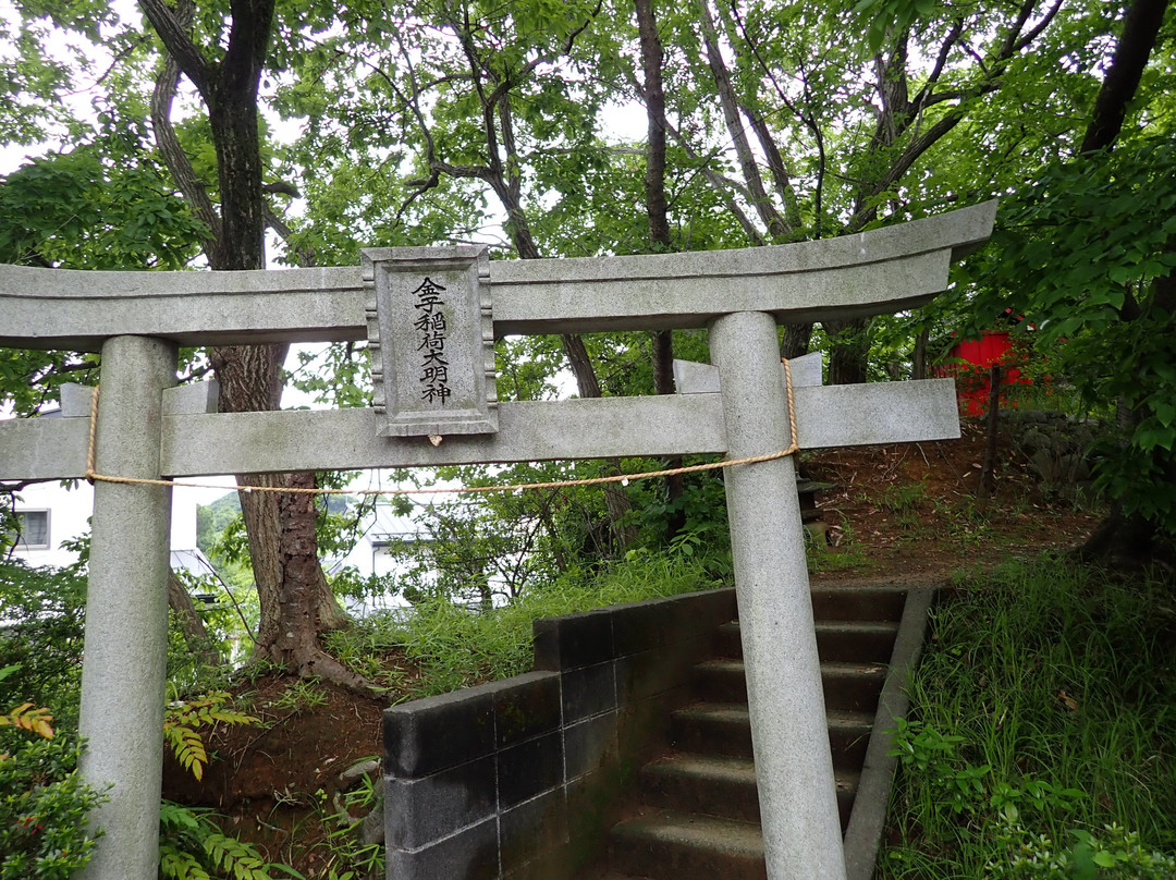 Kaneko Inari Daimyojin Shrine景点图片