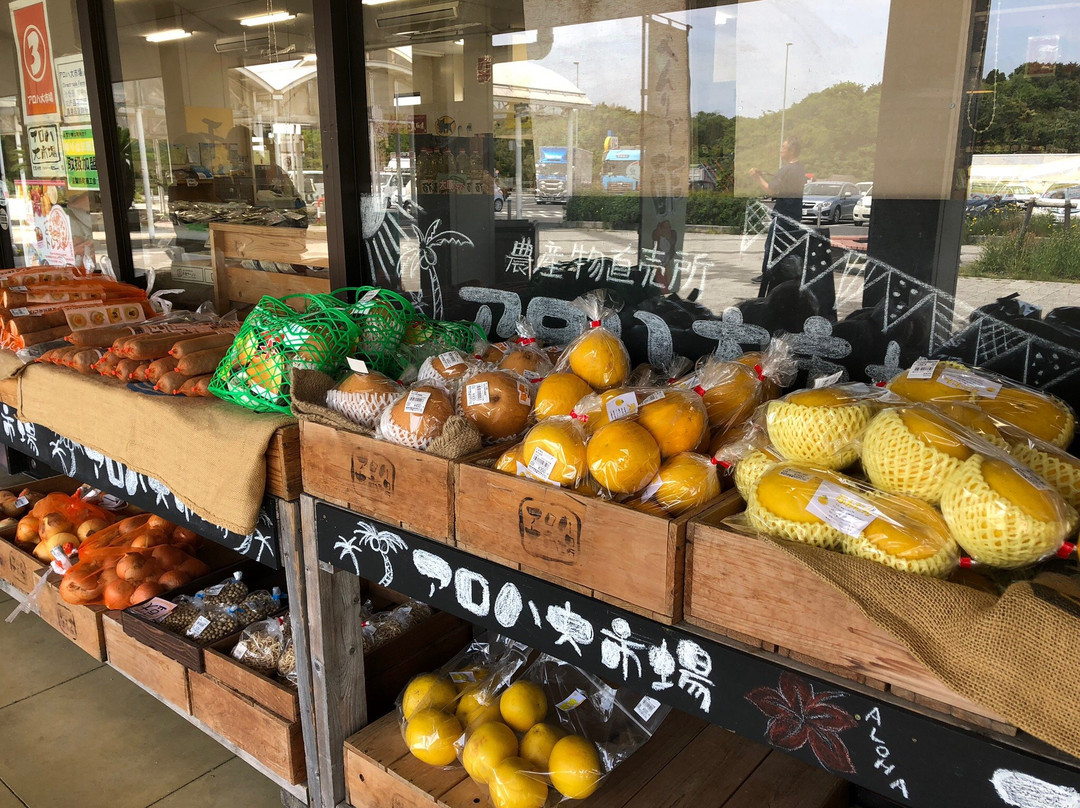 Michi-no-Eki Hawai-汤梨滨町必去景点