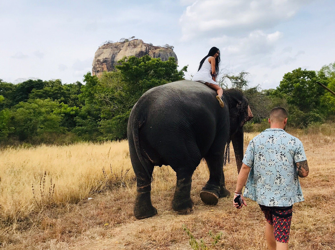 Naja Lanka Travels & Toures-尼甘布必去景点