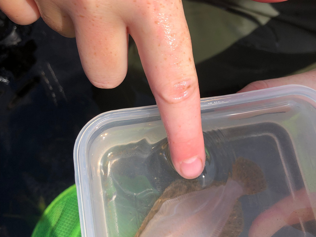 Basin Head - Beyond the Beach-Souris必去景点