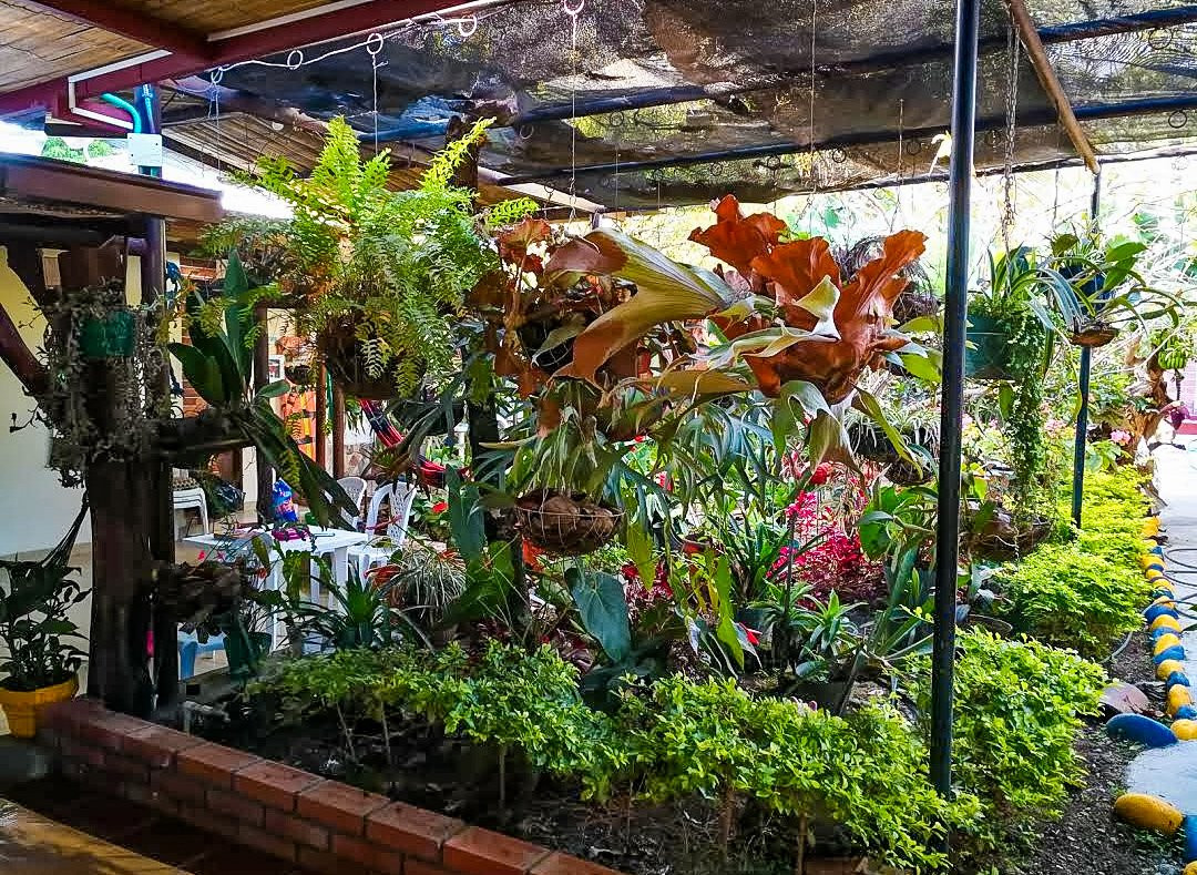 Hostal Campestre Samadhi主图