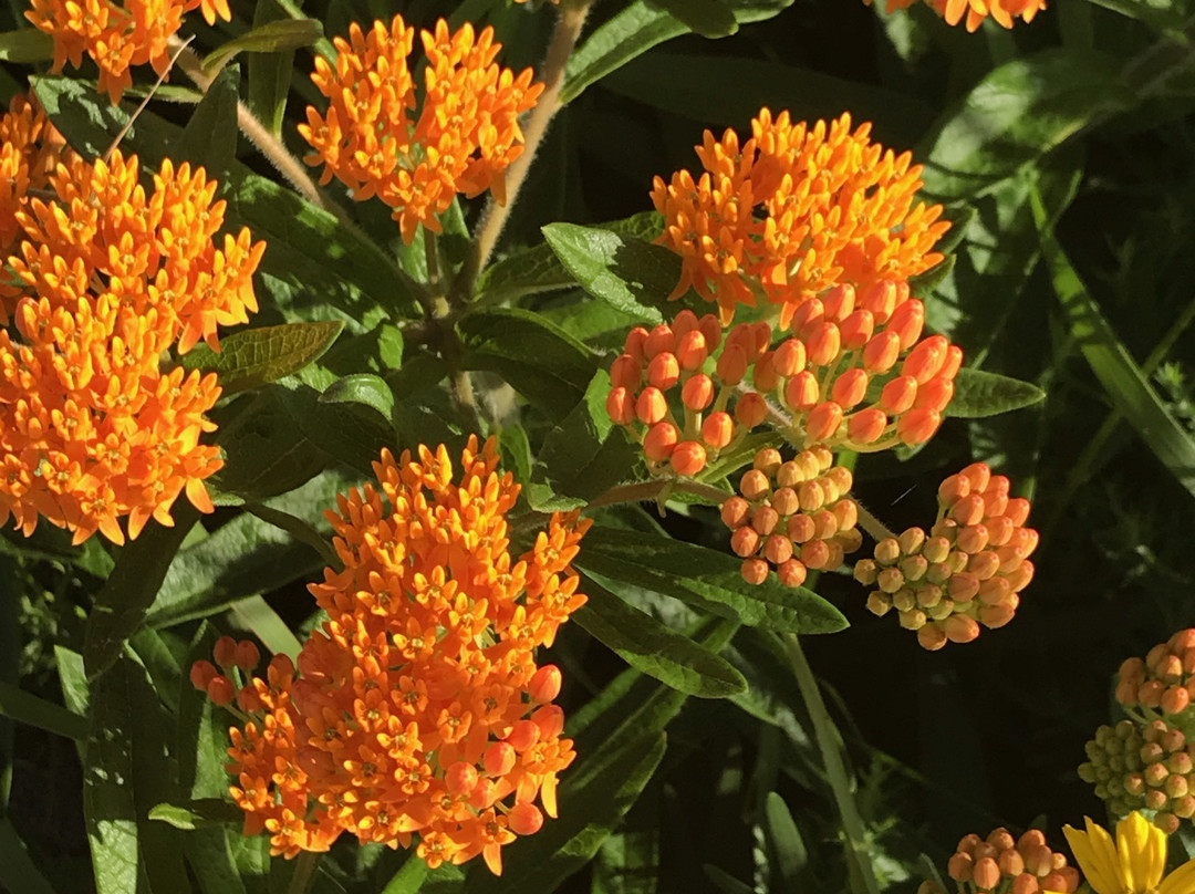 Volo Bog State Natural Area-Ingleside必去景点