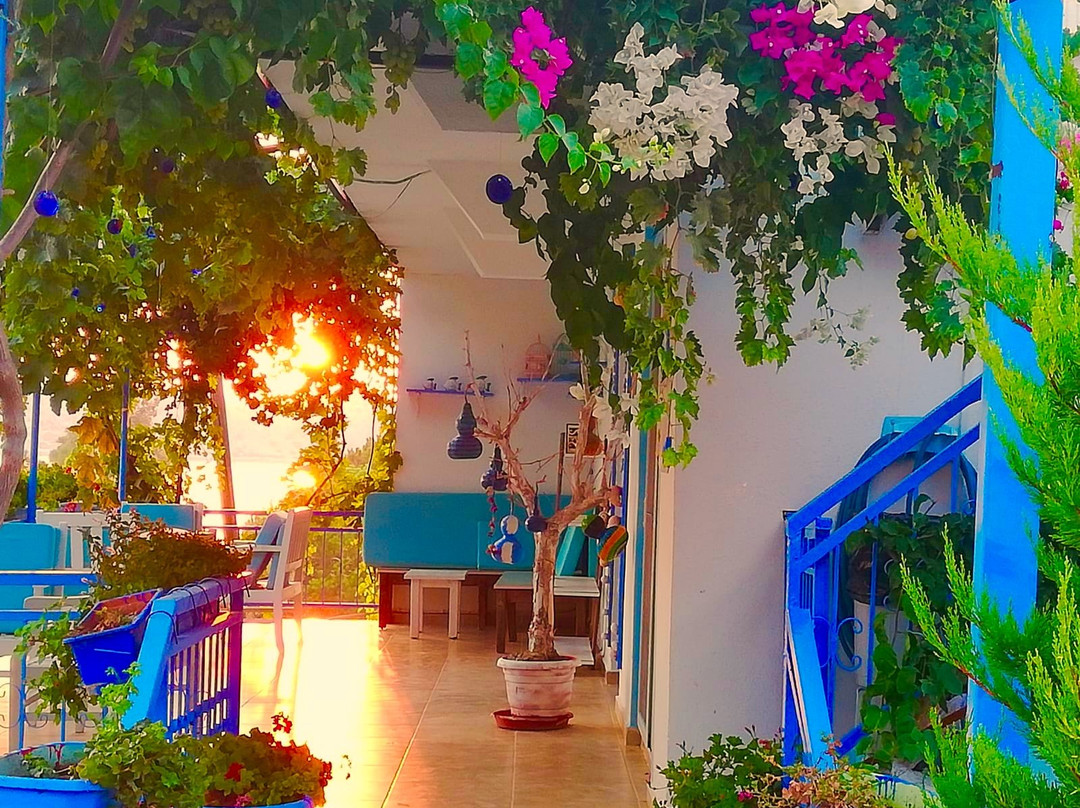 Yasemin Pansiyon主图