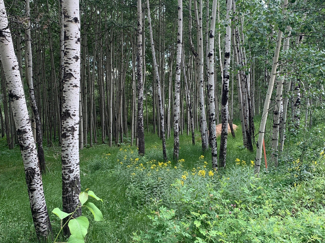 Cottonwood Lake景点图片