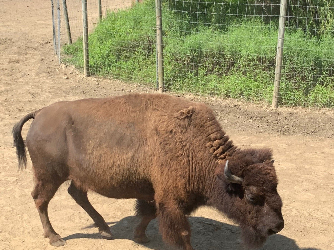 Wagon Trails Animal Park-Vienna必去景点