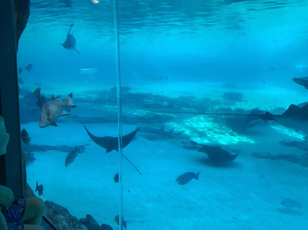 Shark Bay-梅因海滩必去景点